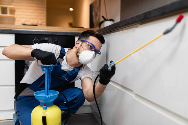 Best Flea Control Services  in Elba, AL