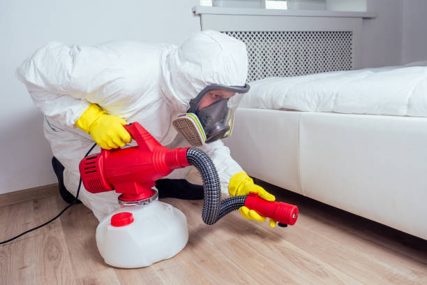 Best Bed Bug Extermination  in Elba, AL