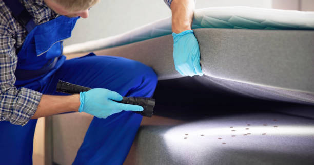 Best Emergency Pest Control  in Elba, AL