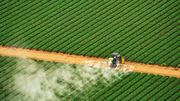 Best Mosquito Control Services  in Elba, AL